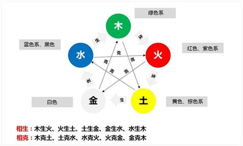 植物五行|风水学里植物的五行属性